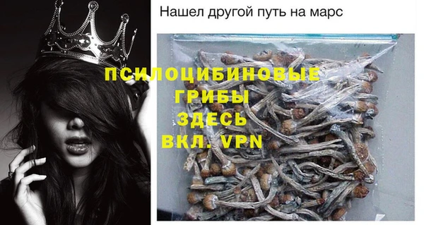 ECSTASY Каменногорск