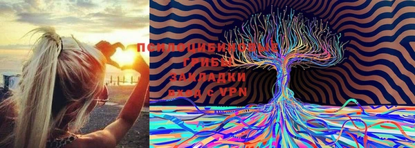 герыч Каменск-Шахтинский