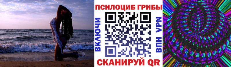 Галлюциногенные грибы Psilocybine cubensis  Купить где  Дно 